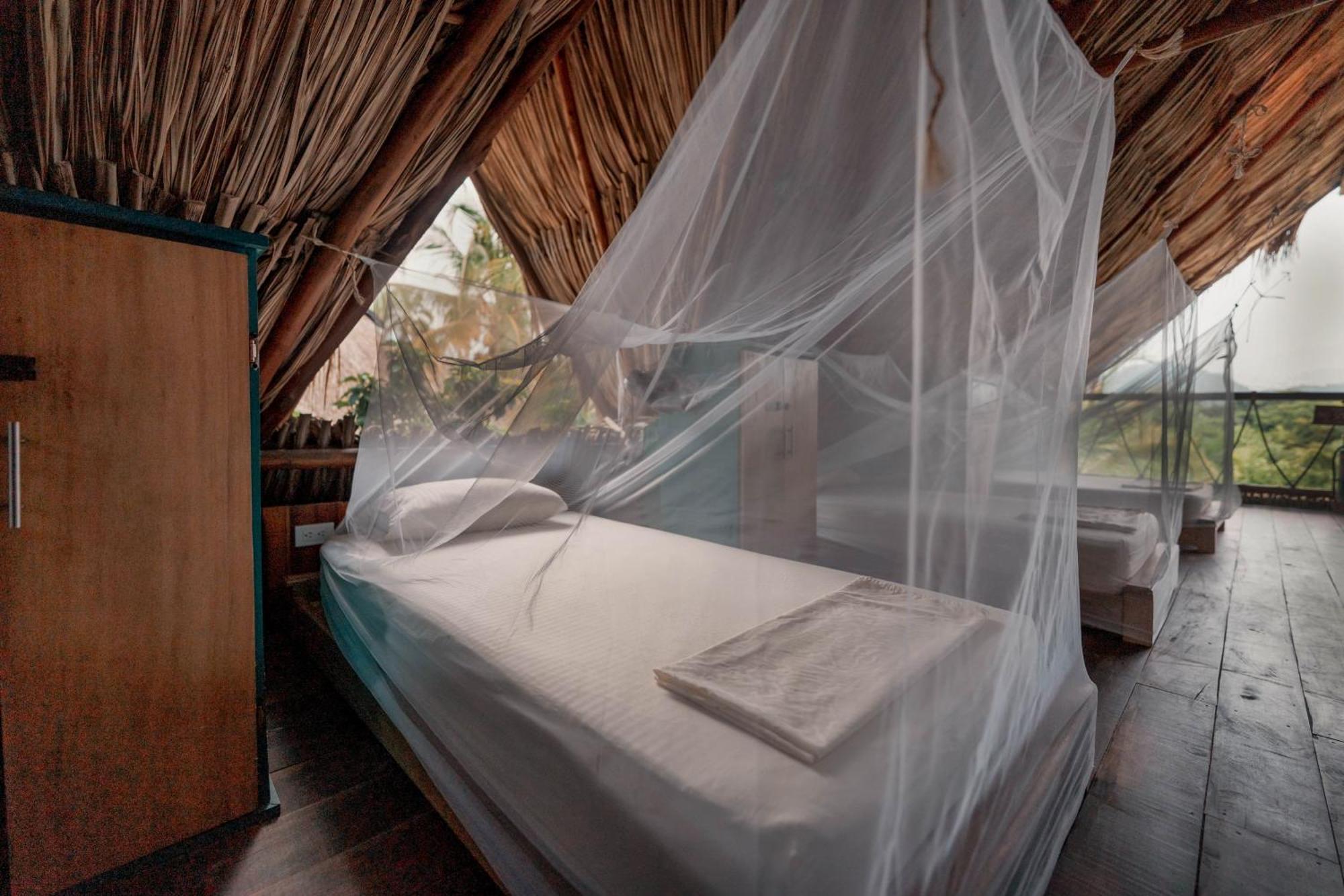 Bohemia Beach Tayrona Guachaca 객실 사진